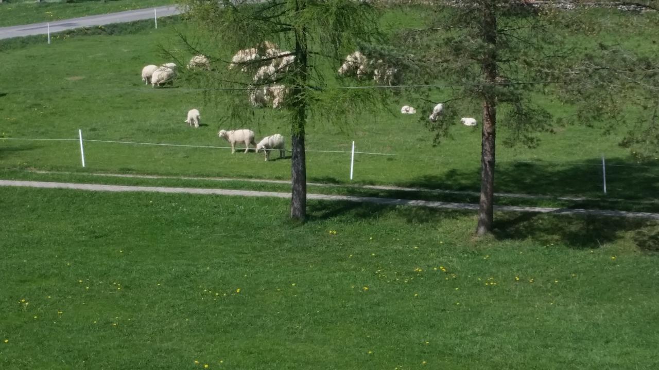 Janosik Διαμέρισμα Bustryk Εξωτερικό φωτογραφία